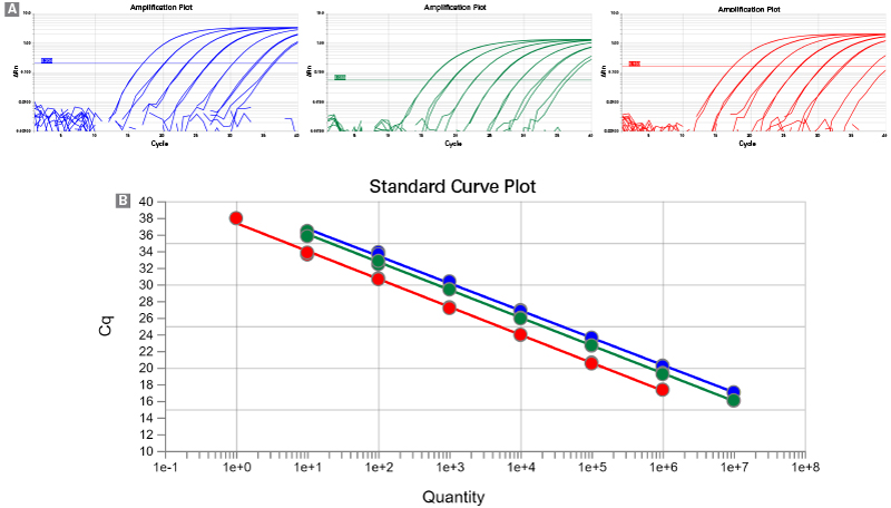 X One Step Primescript Iii Rt Qpcr Kit